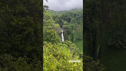 De los sitios que más disfrute de nuestro viaje a Maui. Waimoku Falls & Pīpīwsi Trail. #travel #hike