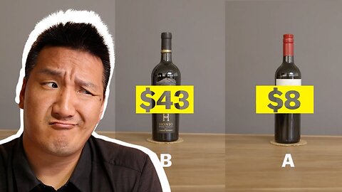Expensive WINE is for SUCKERS??? Wine Pro REACTS