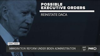 Biden likely to reinstate DACA