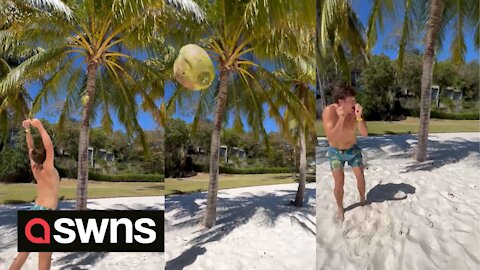 Coco-nutters! UK man has near miss after coconut thrown at palm tree bounces back into his face