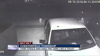 Suspect steals bike, rummages through cars before pooping on Chesterfield Township resident's lawn