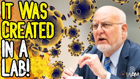 Former CDC Director Says "It Came From A LAB!" - Bioweapon Gone WRONG? Or MASSIVE Coverup?