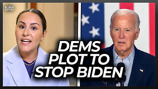 MSNBC Host Explains Behind the Scenes Plot to Stop Biden Nomination