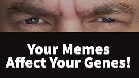 Your Memes affect your Genes!