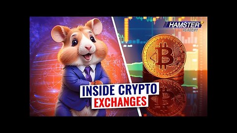 How Does a Crypto Exchange Work: A Beginner's Guide 🐹💡Hamster Academy