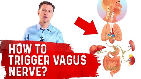 How To Trigger Vagus Nerve? – Dr. Berg