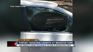 Smash-and-grab thieves target parents at local park