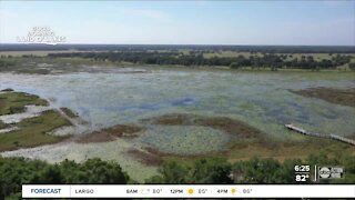 Walking Club: Exploring Crews Lake Wilderness Park in Pasco County