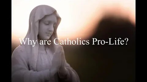 Why are Catholics Pro Life?