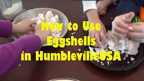 What to do with Egg Shells - 2016 Humbleville - Vermicomposting Eggshell Additive