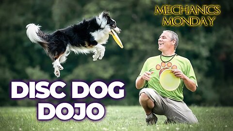 🐶🥏⛩️DiscDog Dojo #75 | Tune Up Your Jam on Mechanics Monday🔧⚙️