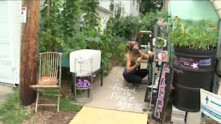 Backyard food pantry gains popularity