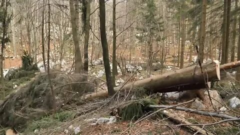 One & Year of Log Cabin Building One Man Building His Dream House