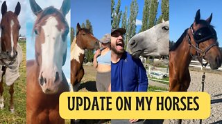 An Update on My Horses: Summer Barn Vlog