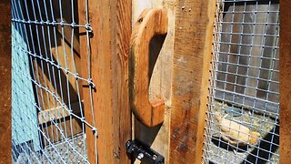 Making Wood Handles for the Chicken Run Gate