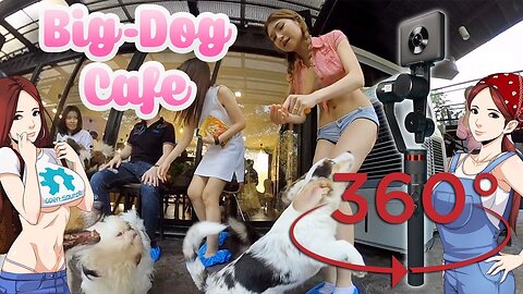 Big Dog Cafe Bangkok- Madventure Camera, Moza 360º Demo