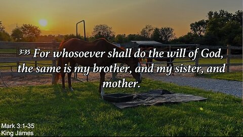 Sunday Evening, July 21st - For Whosoever Shall Do The Will Of God