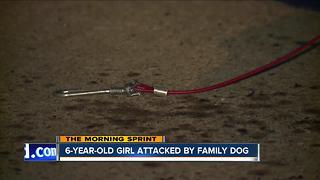 6-year-old girl critically injured after dog attack, dog shot by off-duty officer