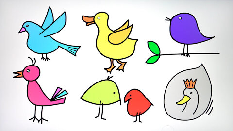 Drawing and Coloring for Kids - How to Draw Birds