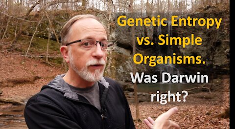 Genetic Entropy vs Simple Organisms: was Darwin right?
