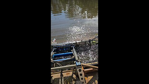 Elkhart Texas Pond Cleaning