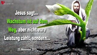 Rhema 26.11.2022 ❤️ Wachstum ist auf dem Weg, aber nicht eure Leistung zählt, sondern...