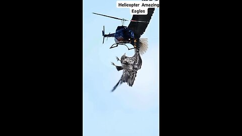 Pilot Lands His Helicopter Neatly Over Eagle //🦅🌎😎😱✈️#shorts