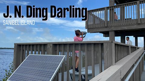 Exploring J.N. "Ding" Darling National Wildlife Refuge | Nature's Hidden Gem on Sanibel Island