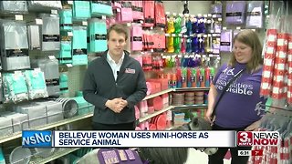 Bellevue woman copes with disability using a mini-horse as service animal