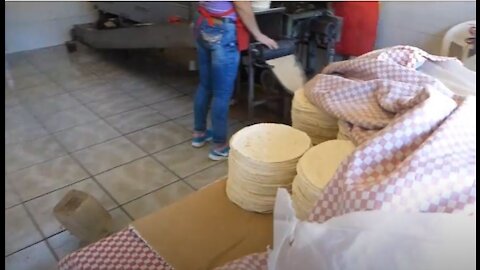 Tortilla Factory Chapala, Mexico Watch them being made!