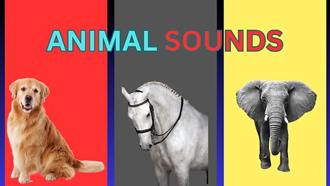 Animal Sound | wild enimal sounds | animal sound video