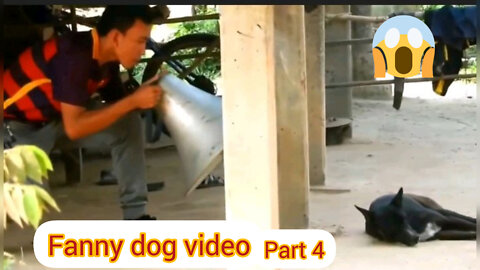 Fanny dogs video Nice video