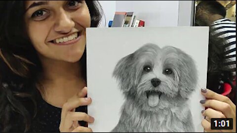 How to draw Hyper-Realistic Dog Sketch | Timelapse