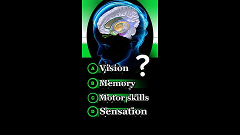 Brain anatomy mcqs #brain #vision -#memory #moterskills #3dmedico