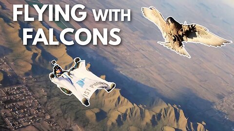 Flying With Falcons | Wingsuit Flight With The Fastest Animal on Earth