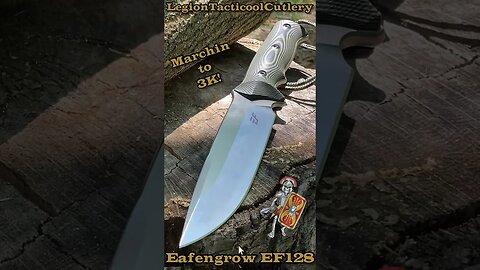 Eafengrow EF 128 DC53 Steel