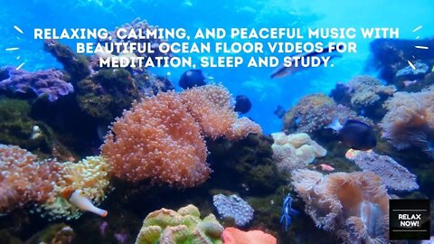 Relaxing calming and peaceful music with beautiful ocean floor videos for meditation-sleep and study