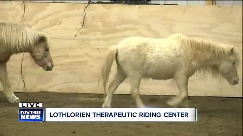 Horses provide life-changing experiences for people with disabilities, veterans