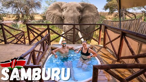 Elephants By Our Tent in Samburu / Luxury Kenyan Safari