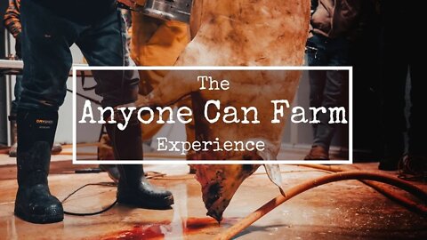 The Anyone Can Farm Experience: Hog Harvest