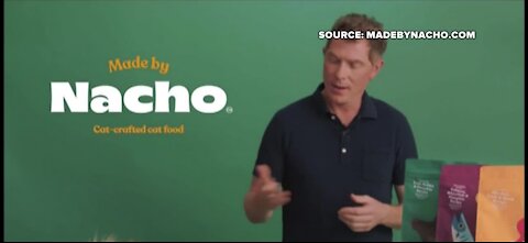 Chef Bobby Flay debuts cat food products
