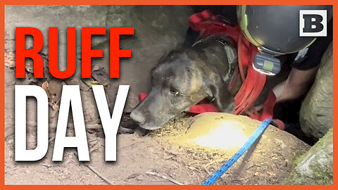 RUFF DAY! Dog Rescued After Spending THREE DAYS in Bear Cave
