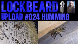 UPLOAD #024 Humming