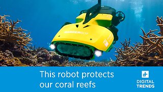 Meet the Tech that Protects Earth's Reefs