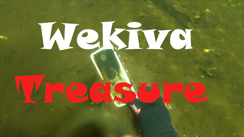 Wekiva Treasure hunting