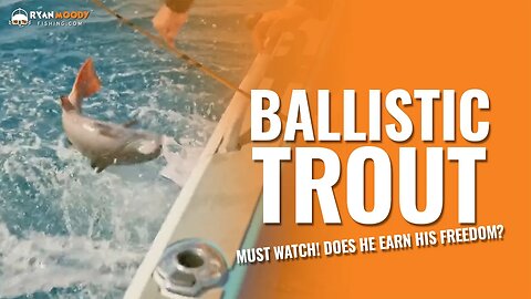 Huge coral trout goes ballistic - Must Watch. Does he earn his freedom?