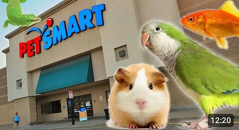 Exploring PetSmart l animal friends everyhere!