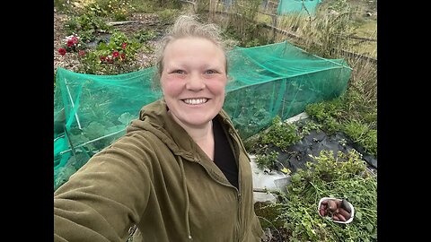 WEEDING in a NO-DiG bed: Allotment Garden