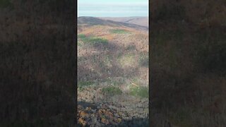 ARKANSAS RIDGE St Francis OZARKS NATIONAL FOREST Drone SHOT with Jeep Cherokee XJ Overland Adventure