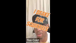 I brake for squirrels #lifelessons #getitoffyourchestmedia #funnyvideo
